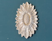 R29 Rosette Sunflower