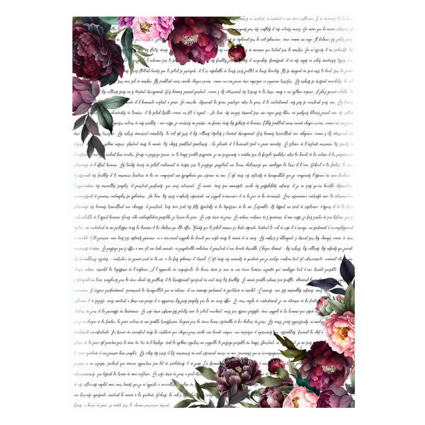 Script Transfers - Script 16