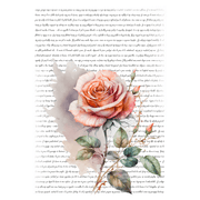 Script Transfers - Script 17