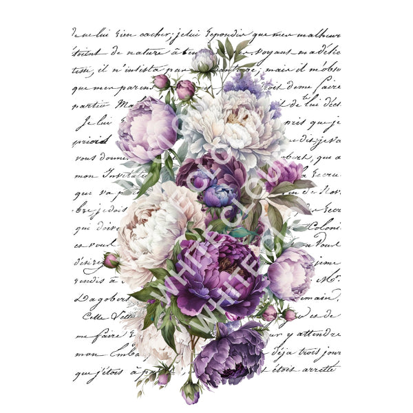 Script & Peonies White Cloud Decor Transfer