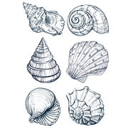 Set of black and white line drawings of various seashells. White Cloud Decor Transfer