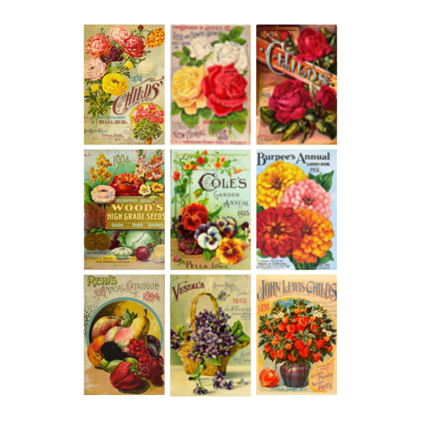 Seed Packets 1 White Cloud Decor Transfer