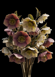 Still In Bloom Decoupage Paper