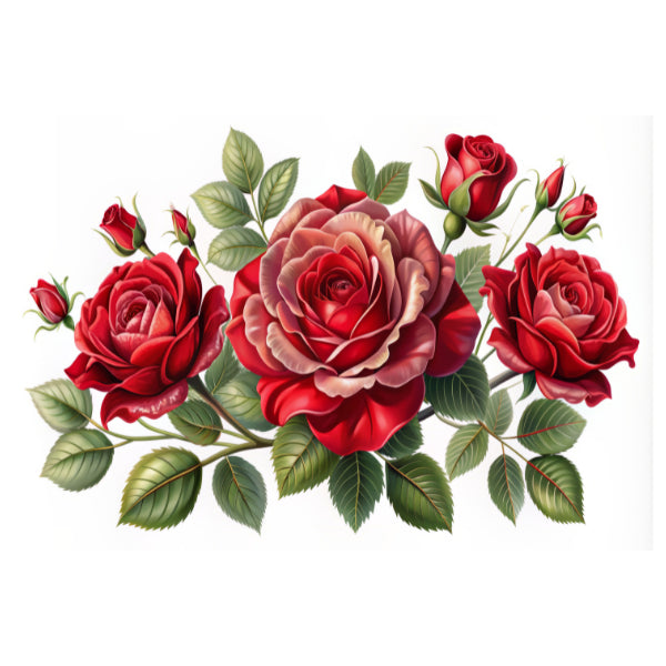 Timeless Passion White Cloud Decor Transfer