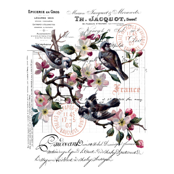 French Inspired Transfer - Vintage Birds - AVAILABLE FOR PRE-ORDER