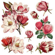Vintage Magnolia White Cloud Decor Transfer