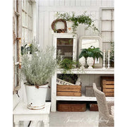 Vintage-style interior with plants, wooden crates, and a 'Welcome' sign.