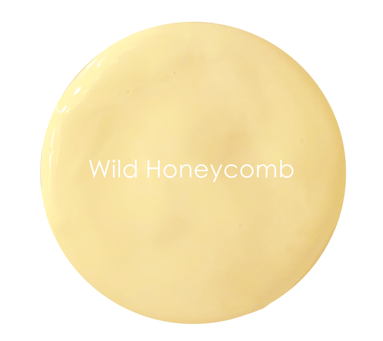 Wild Honeycomb wall paint swatch – warm deep cream yellow