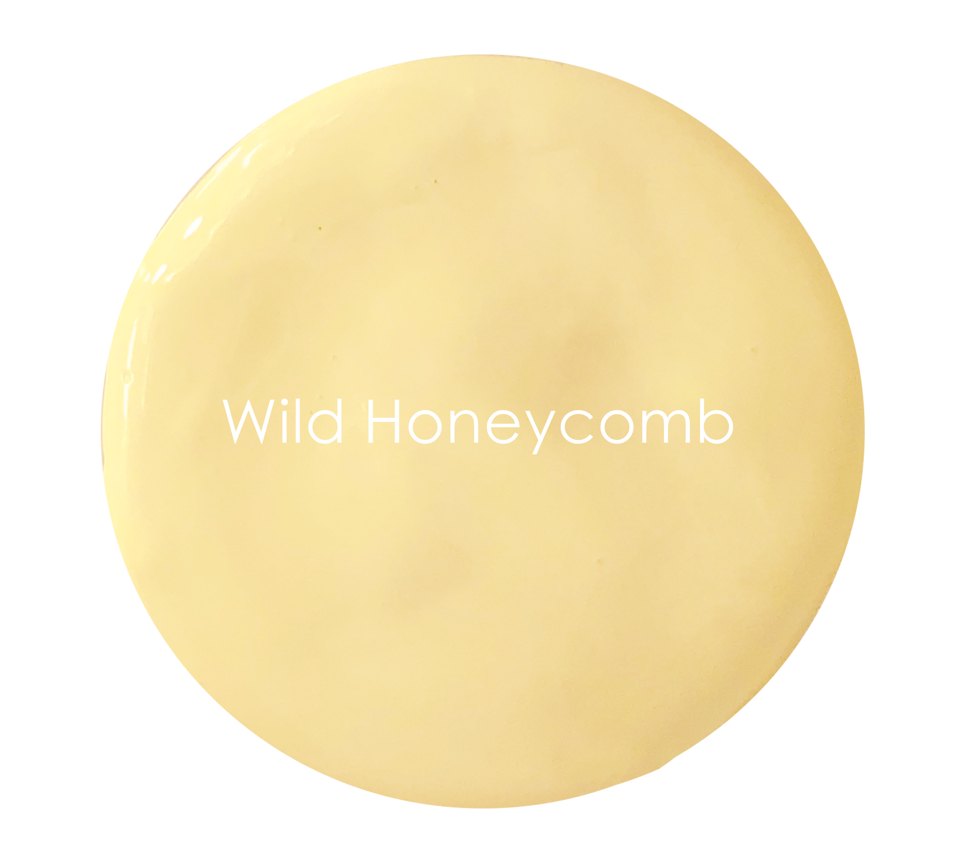 Wild Honeycomb wall paint swatch – warm deep cream yellow