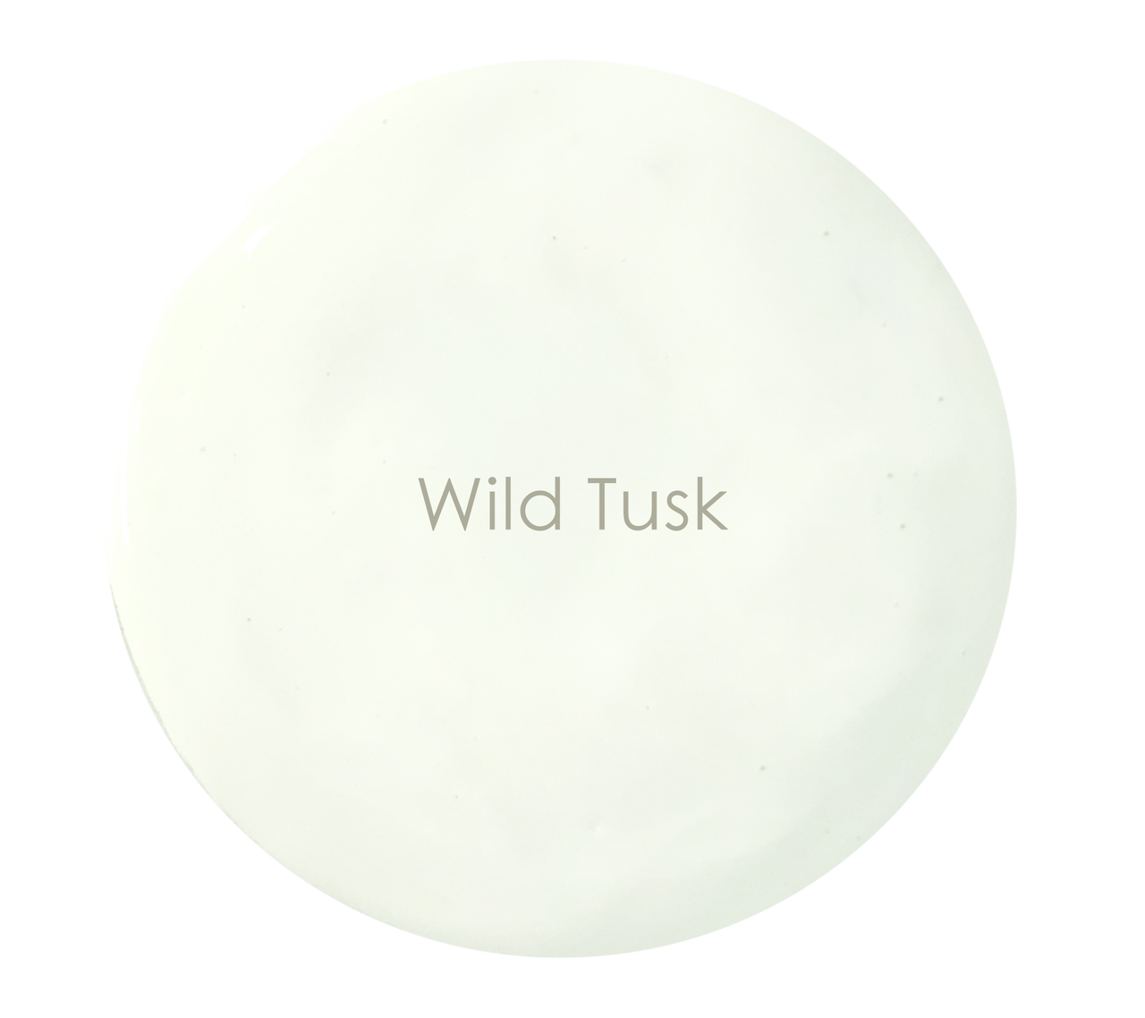 Wild Tusk chalk paint swatch – soft ivory off-white