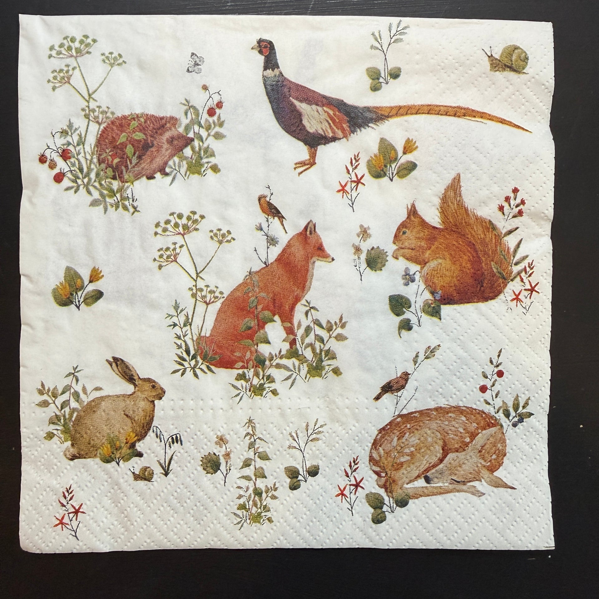 Napkin - Wild Forest Animals