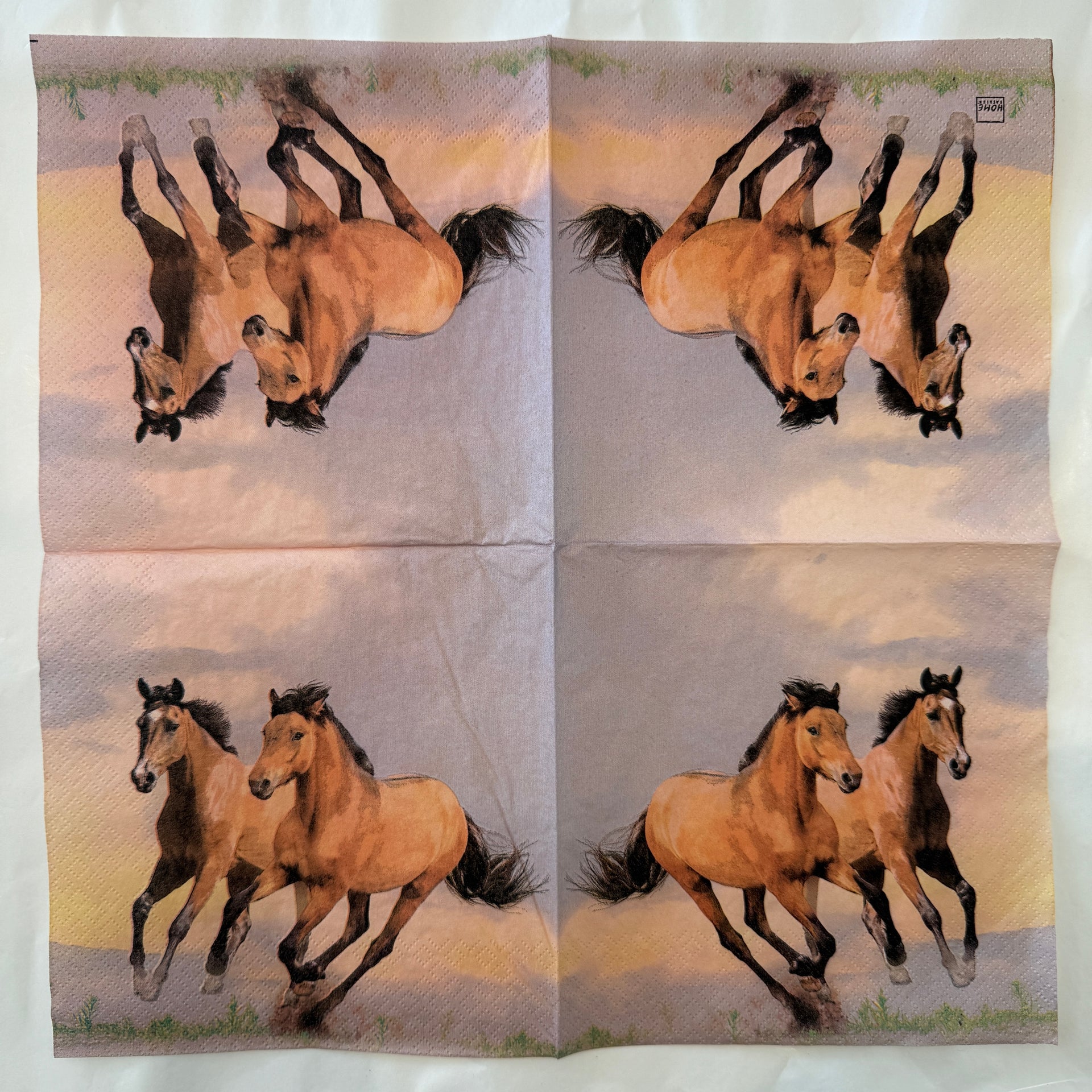 Napkin - Wild Horses