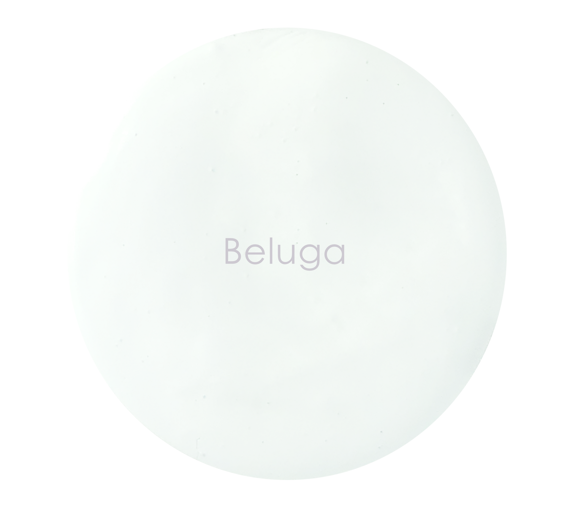 Beluga white wall paint tin – Artisan Paint NZ