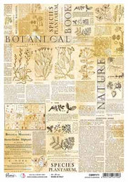 Species Plantarum A4 Rice Paper