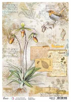 A4 Rice Paper - Botanical