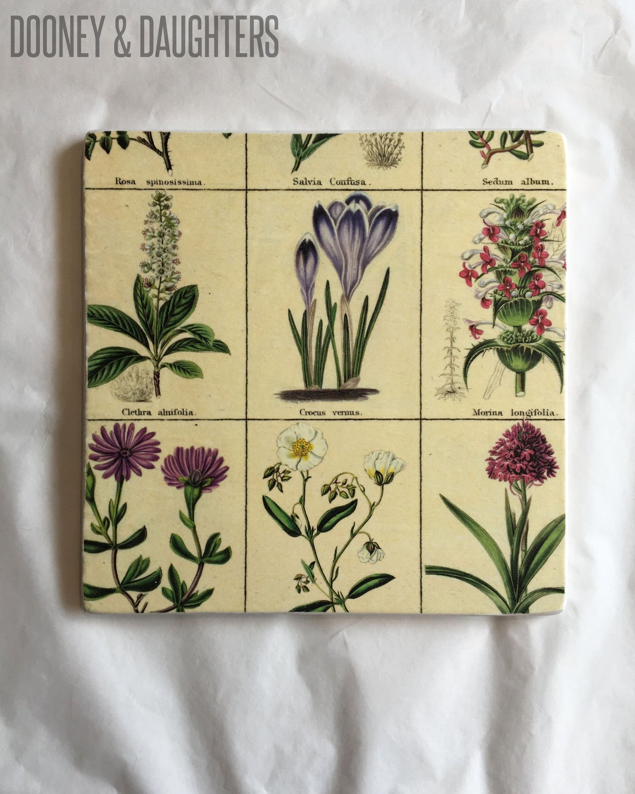 Vintage Botanical Tile Large