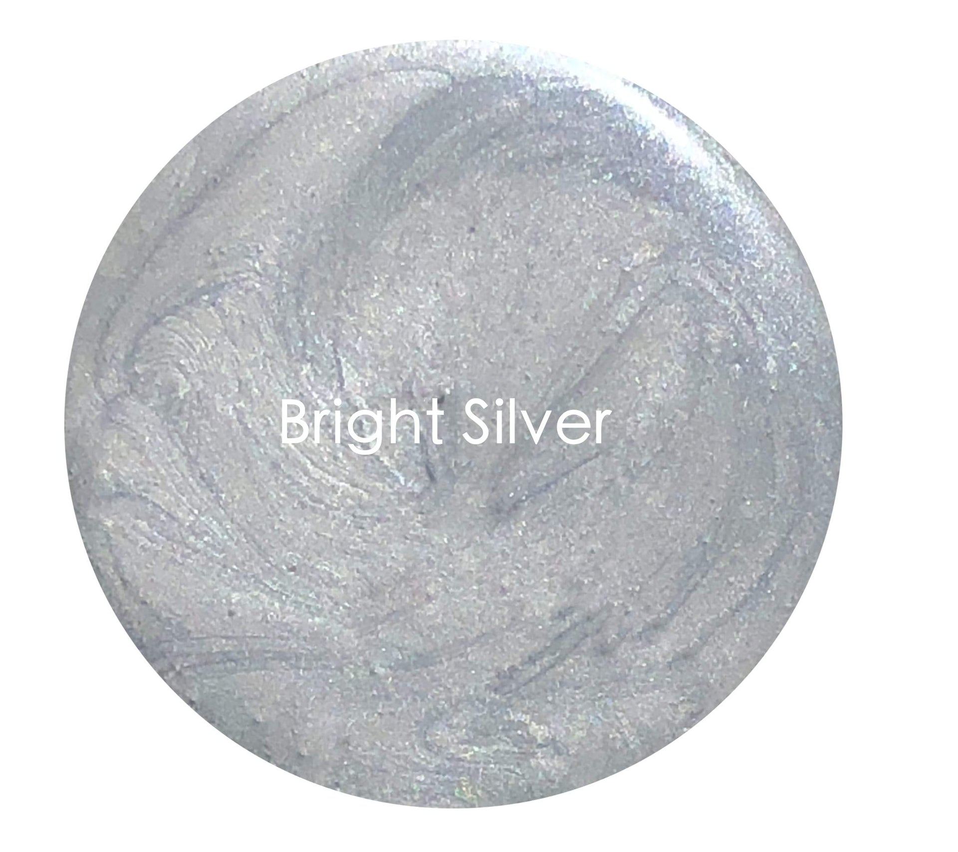 Silver | Metallic Paint | Dooney & Daughters