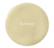 Burmese - Velvet Luxe