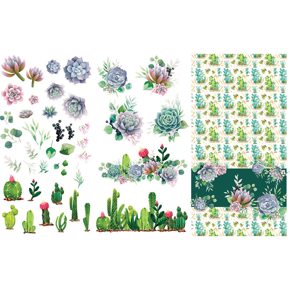 Belles & Whistles Transfer - Cacti & Succulents