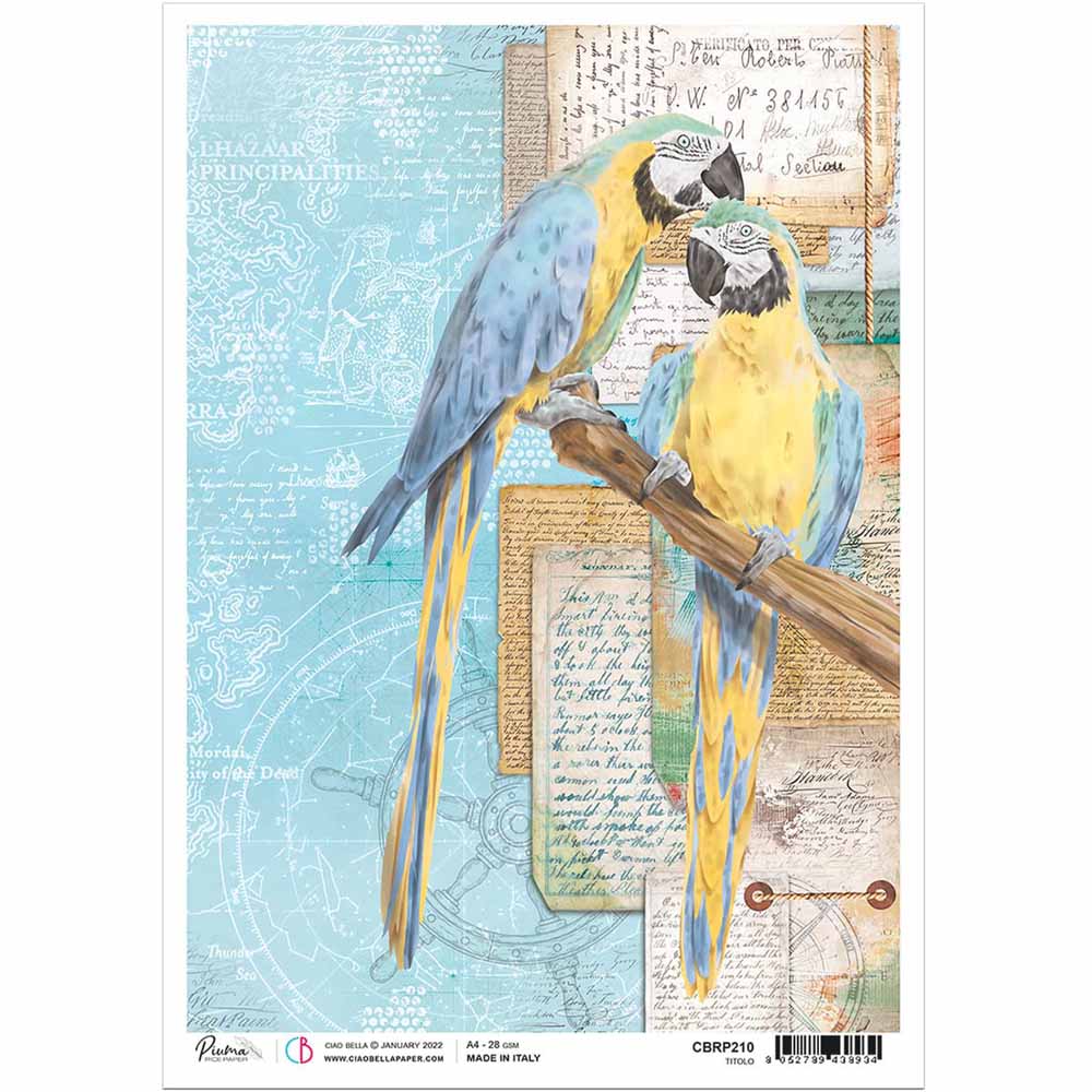 A4 Rice Paper - Anemone Garden