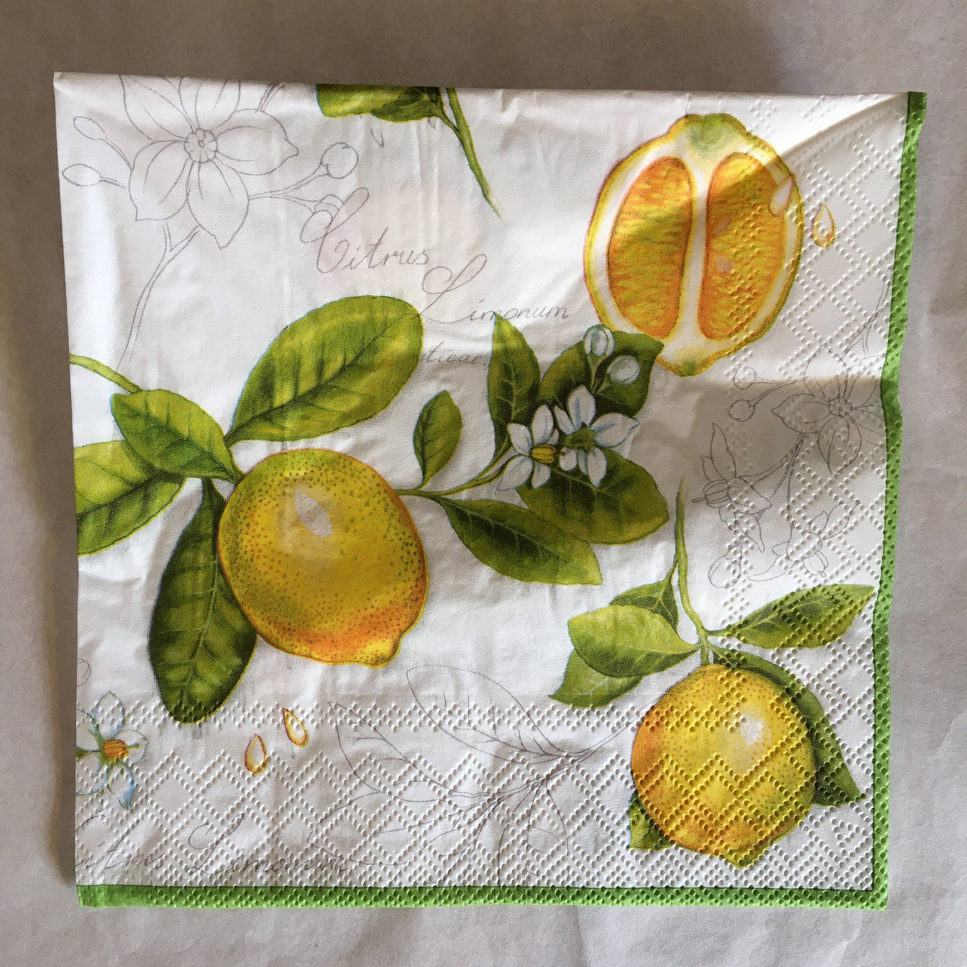 Napkin - Citrus Limonum