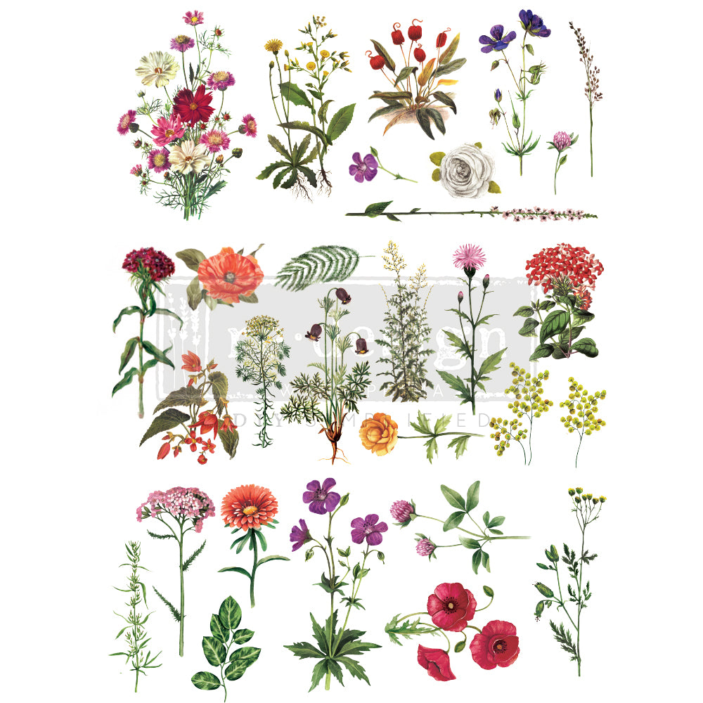 Floral Collection Transfer by ReDesign
