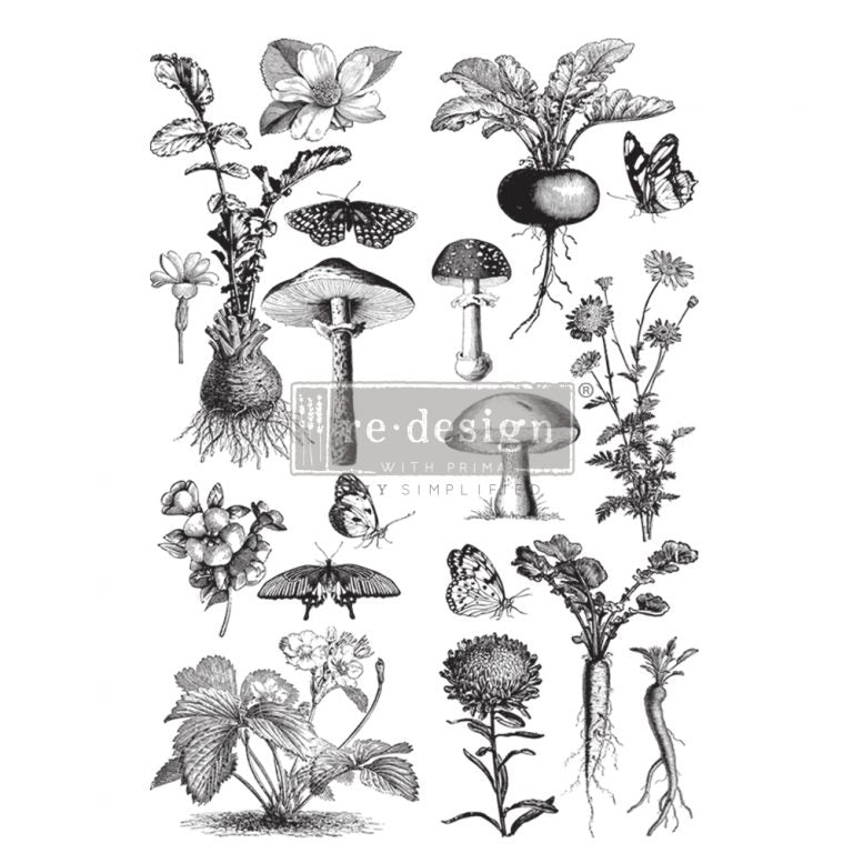 Fungi Forest Transfer