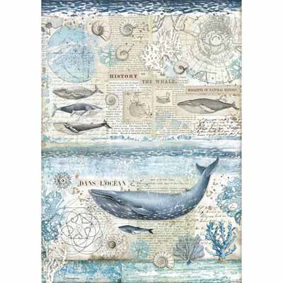 A3 Rice Paper - History of a Whale