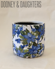 Large Pot - Flowering Clematis Blue