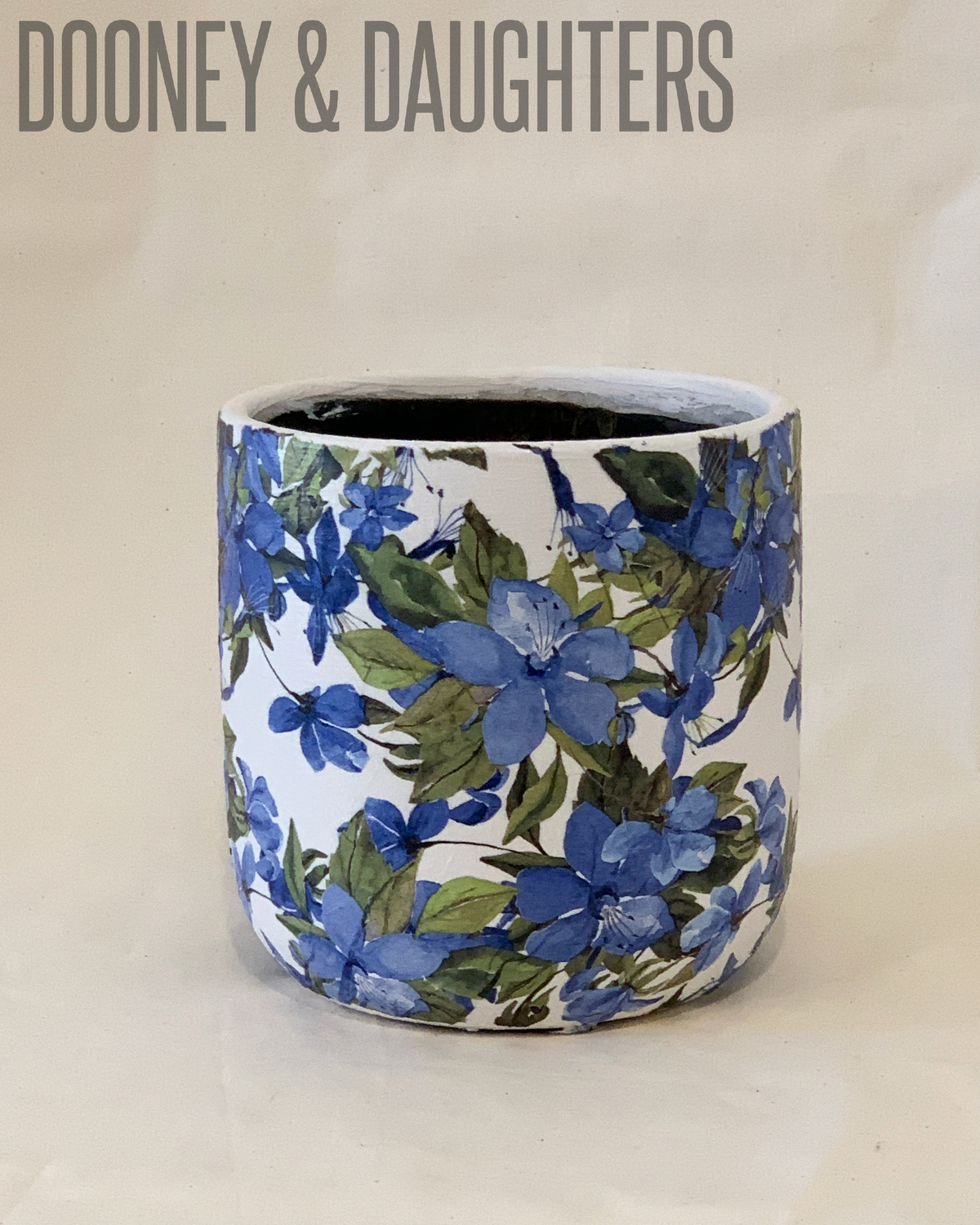 Large Pot - Flowering Clematis Blue