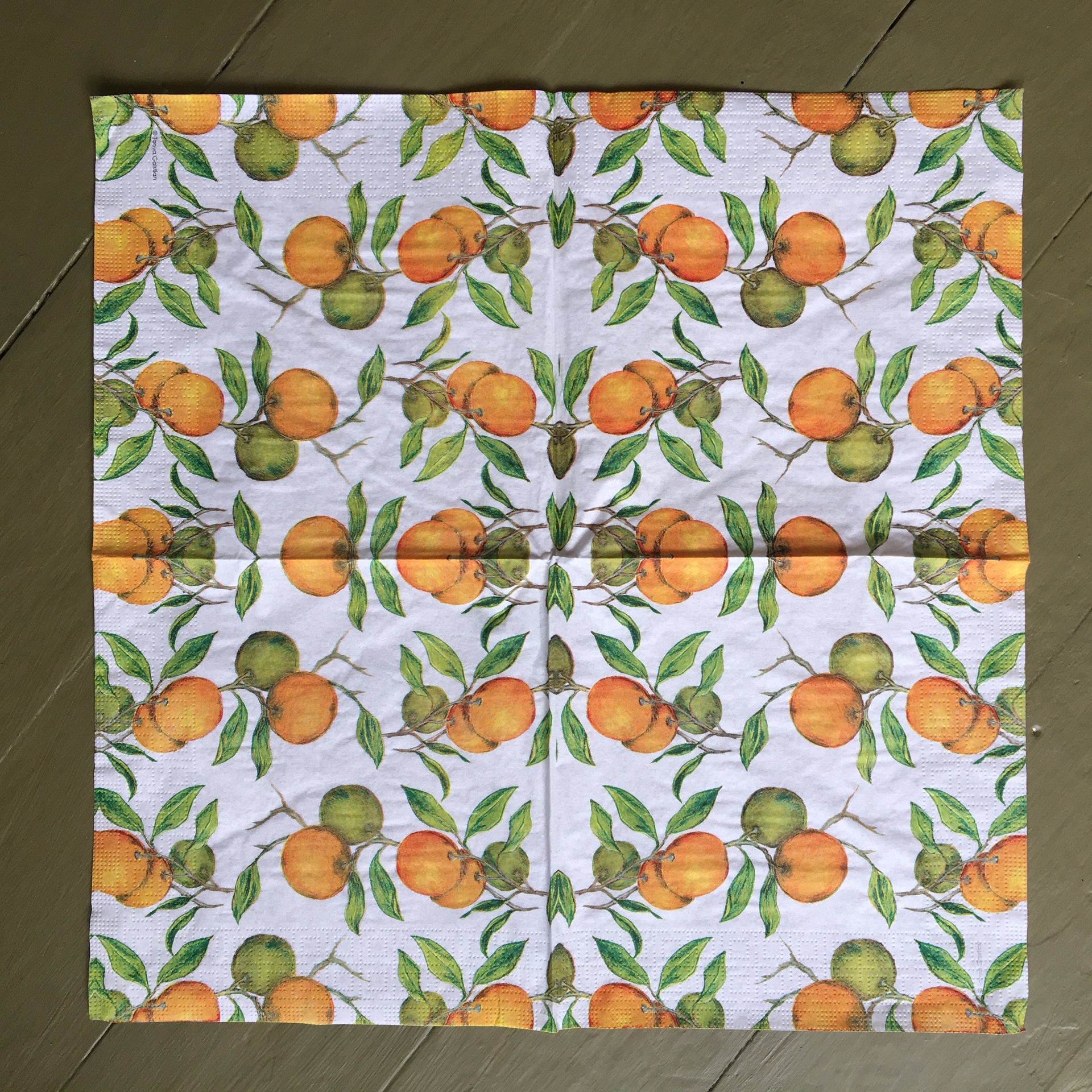 Napkin - Beautiful Oranges