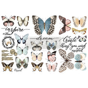 Papillon Collection Small Transfers