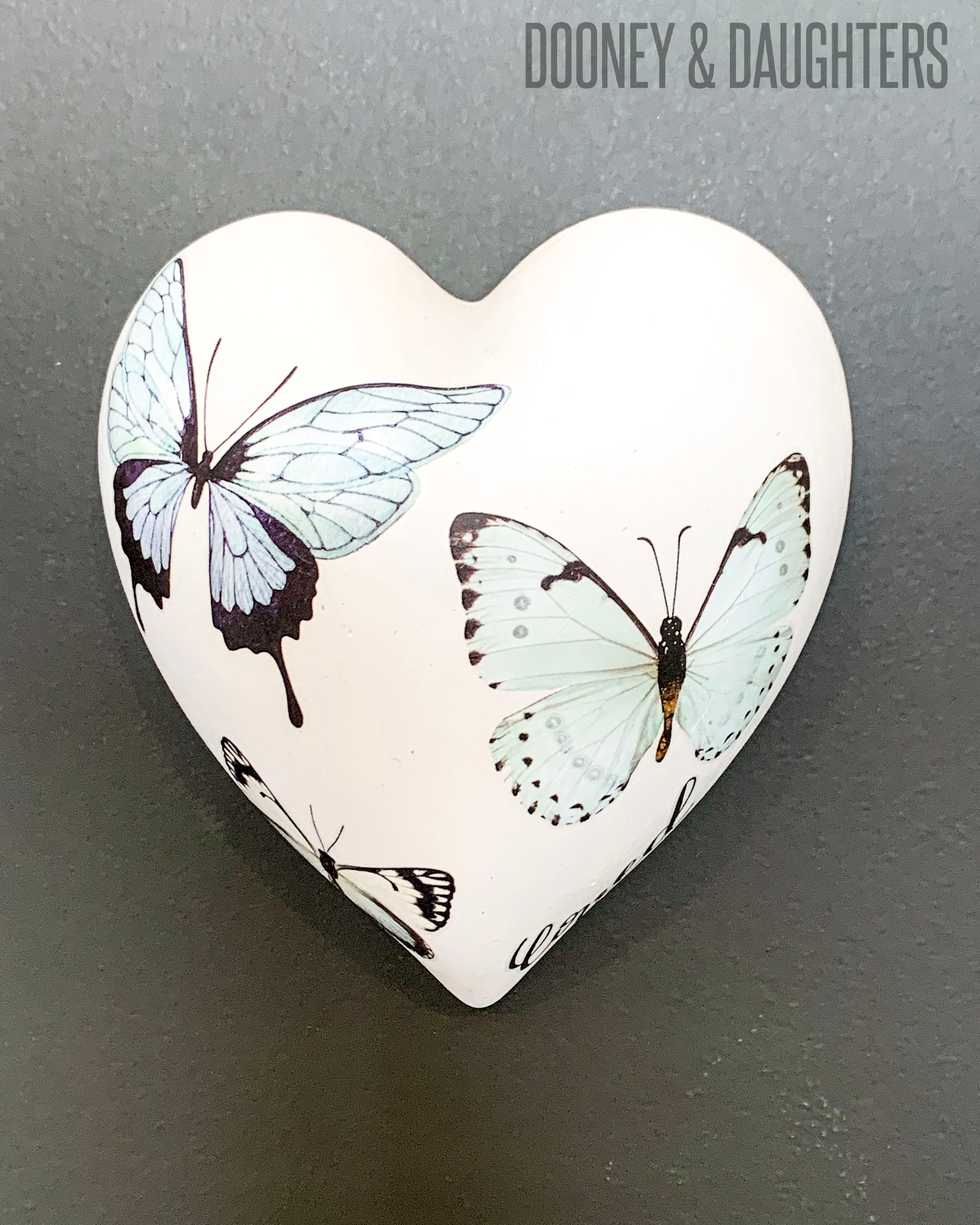Papillon Heart Front View
