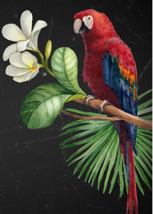 Parrot Decoupage Paper