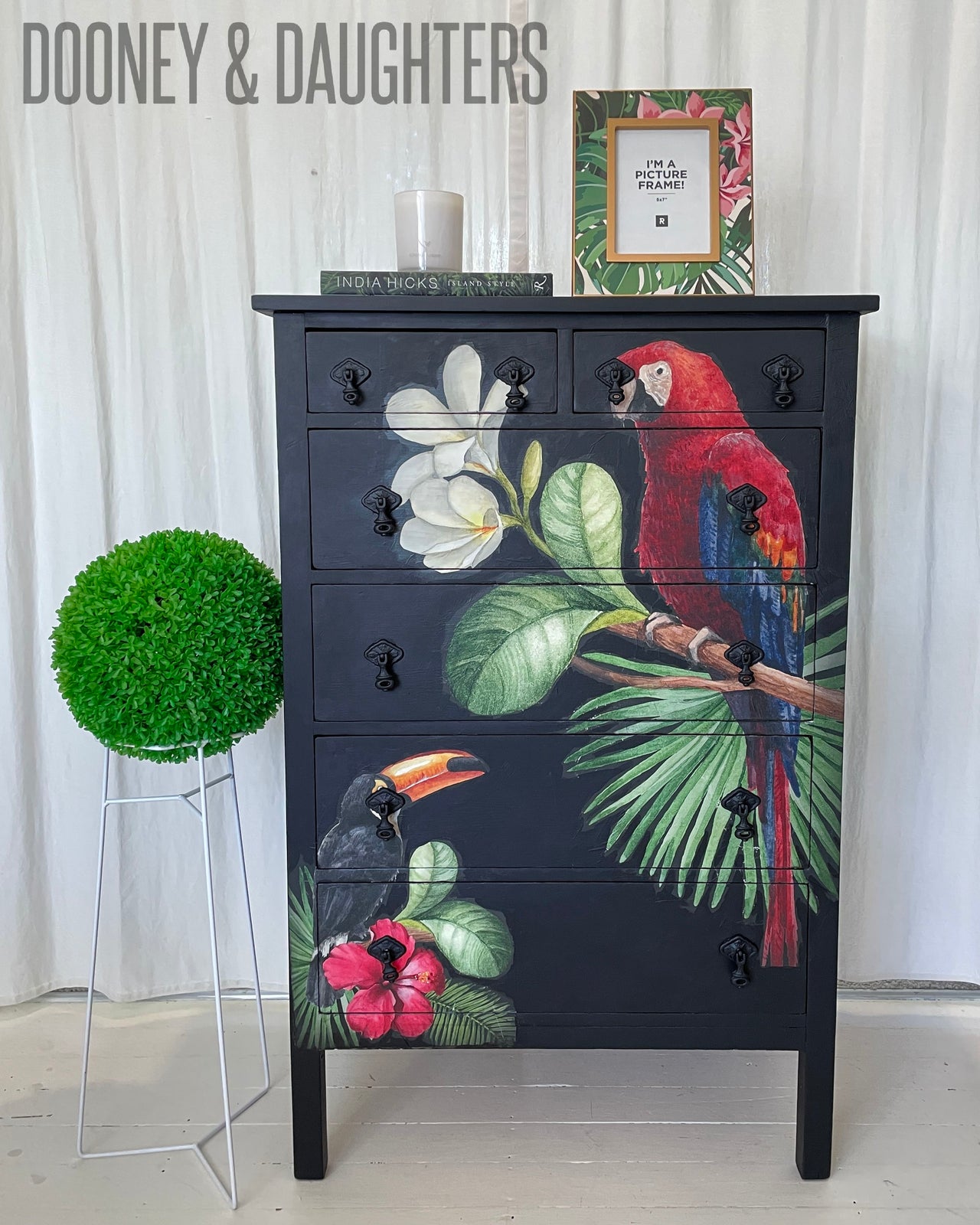 Parrot & Toucan Tallboy