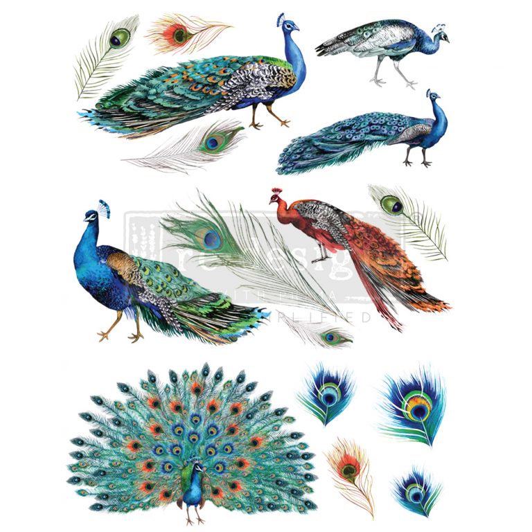 Peacock Dreams Transfer