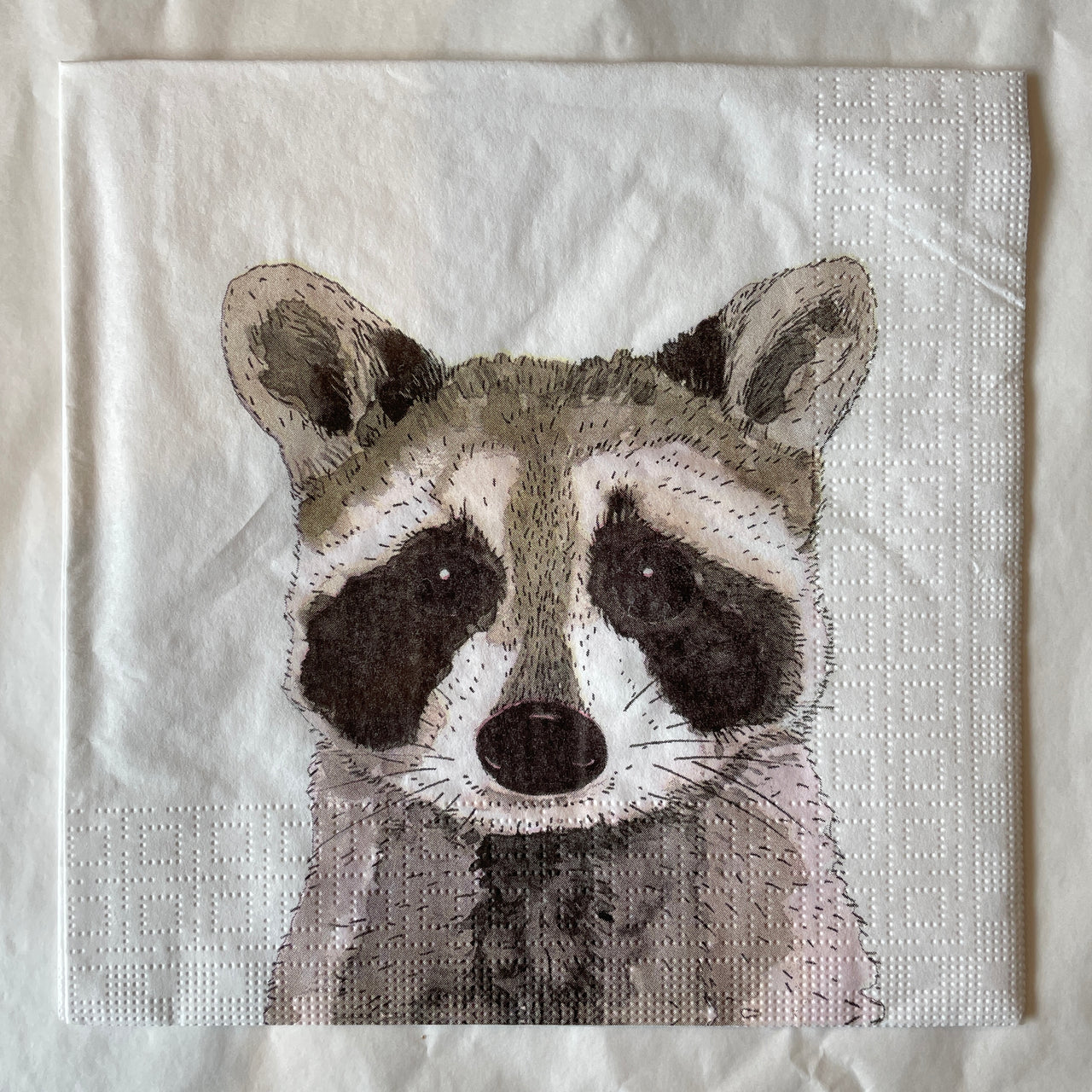 Napkin - Raccoons