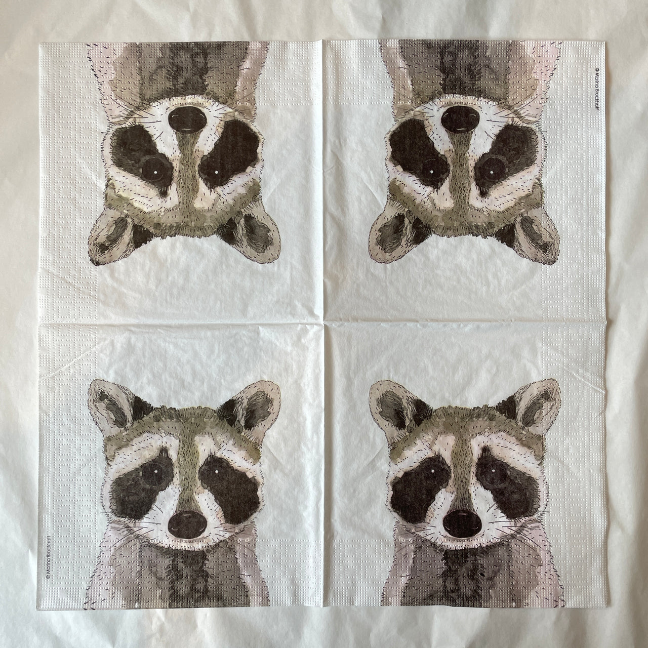 Napkin - Raccoons