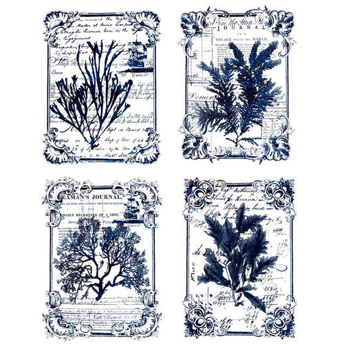 Seaweed Transfer by ReDesign with Prima