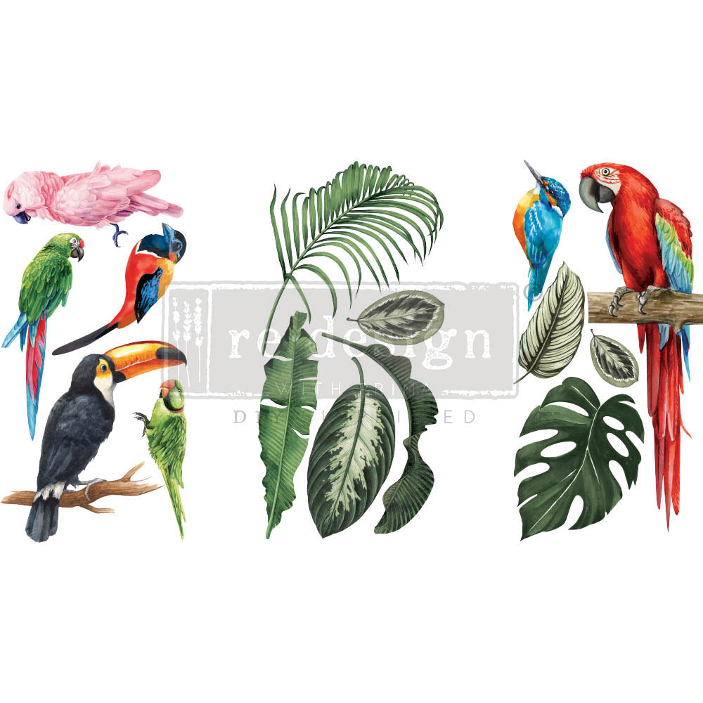 ReDesign Transfer Small - Tropical Birds