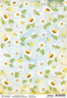 A4 Rice Paper White Daisies
